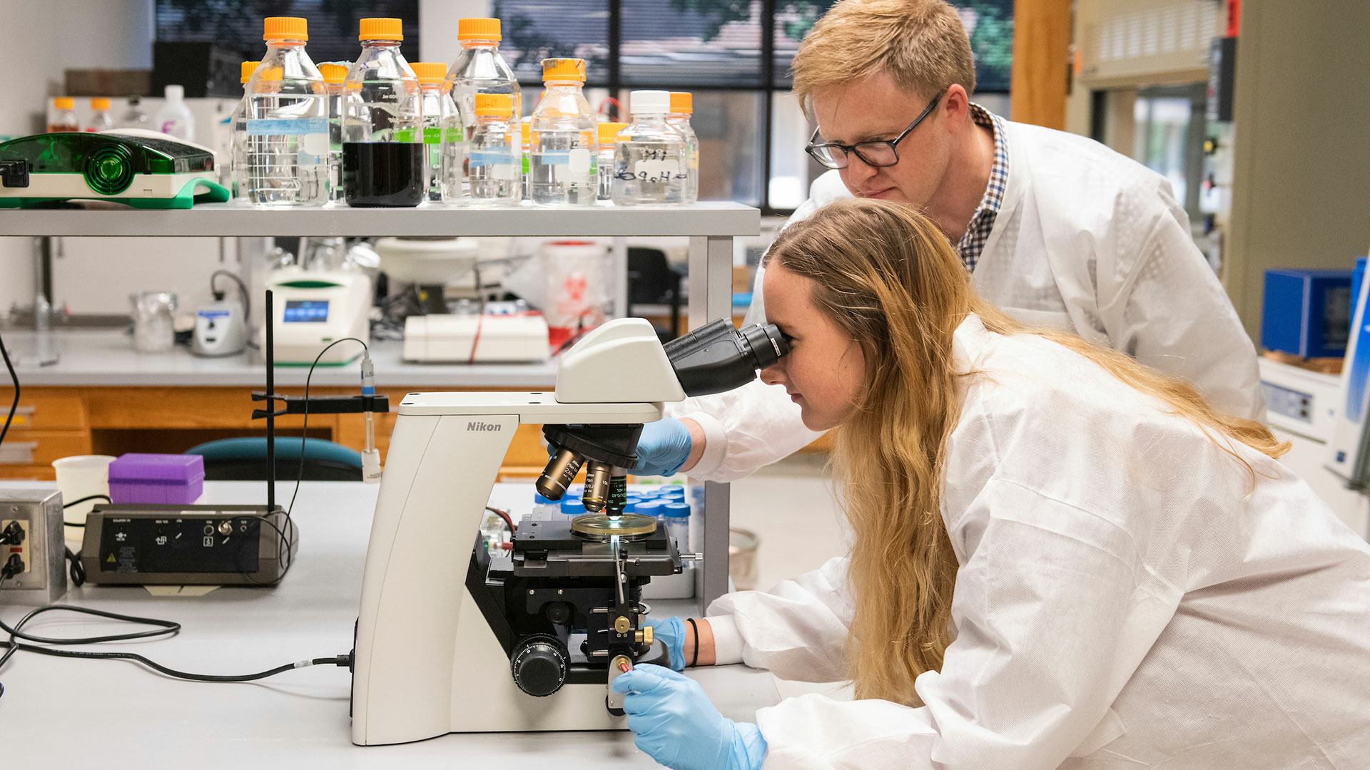 College of Health, Science and Technology | University of Illinois ...