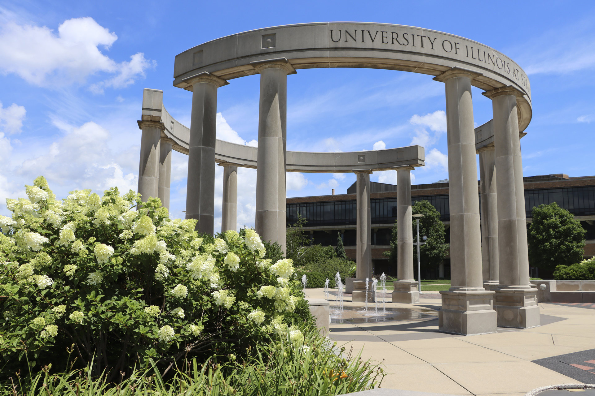 Image of the UIS colonnade with white flowers in front of the colonnade to the left