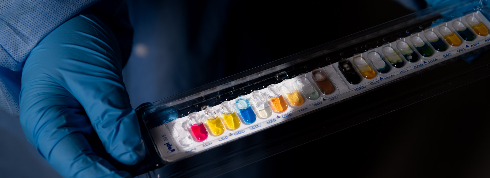 Medical Laboratory Science Bs Online Mlt Mls Articulation Medical Laboratory Science Bs Online Mlt Mls Articulation