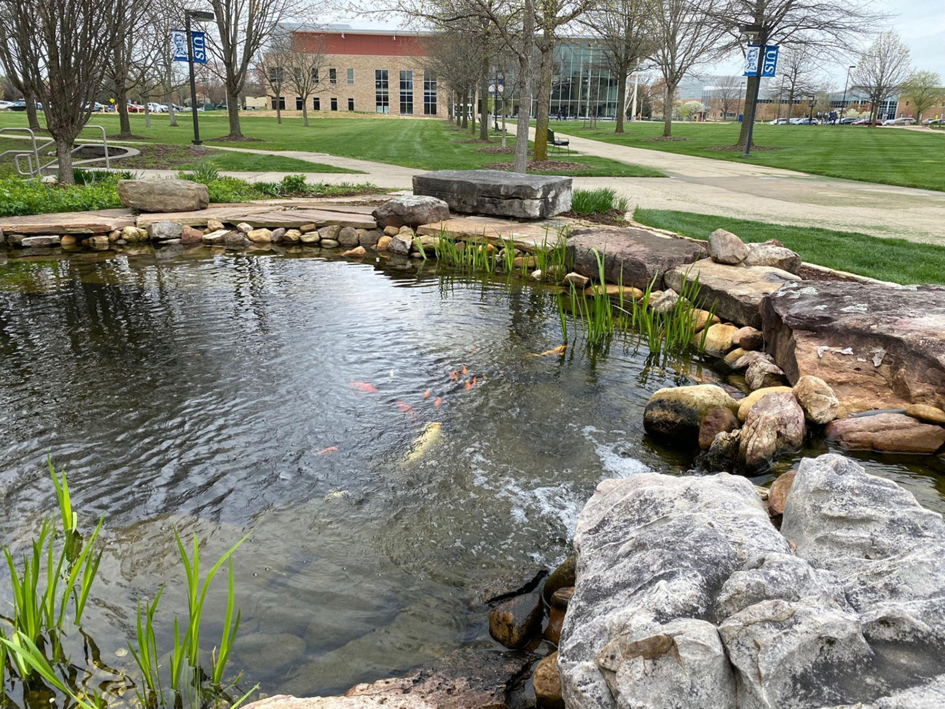 The koi pond with Student Union in the background