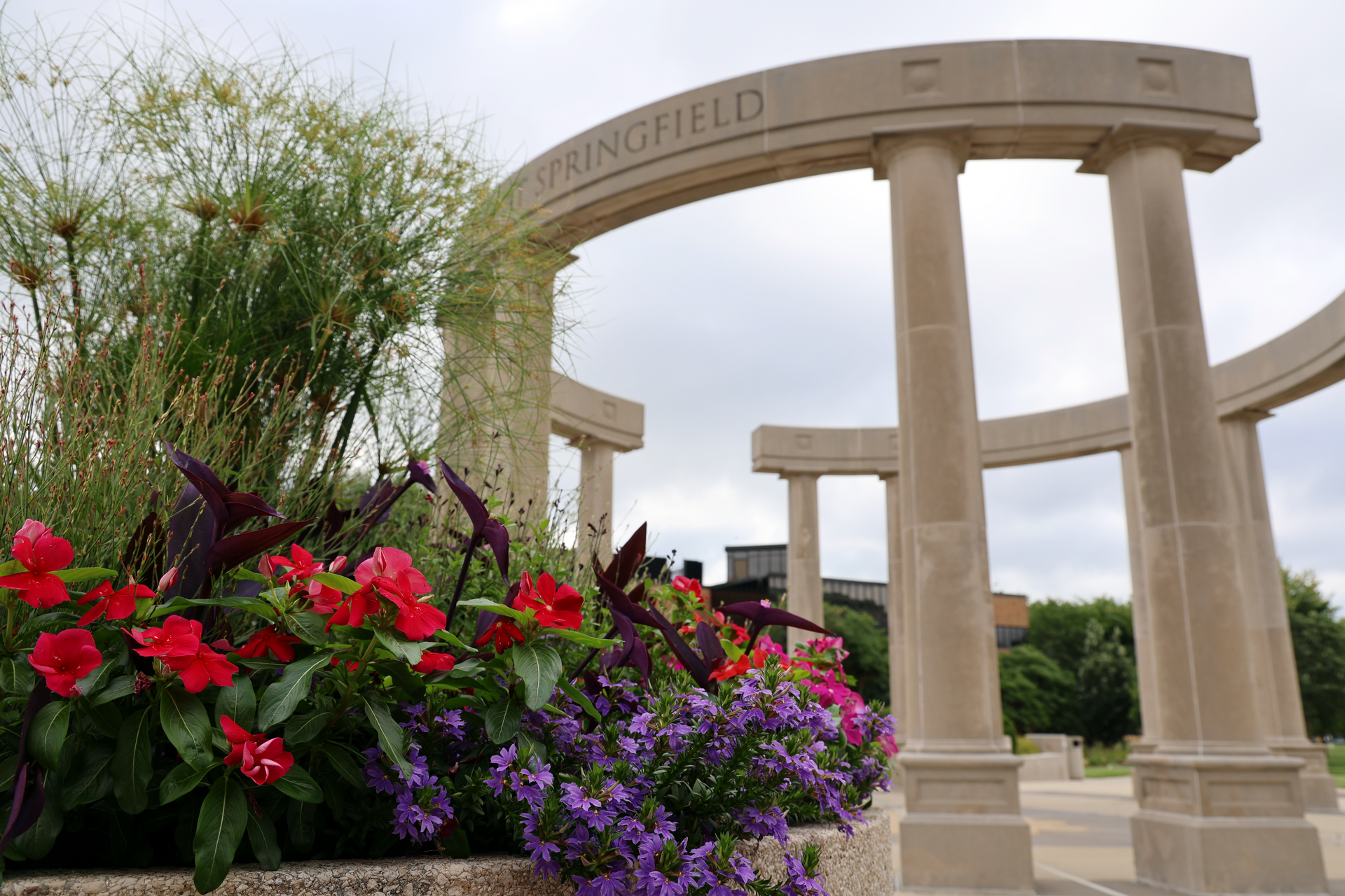 The UIS Colonnade with red and purple flowers in front. 