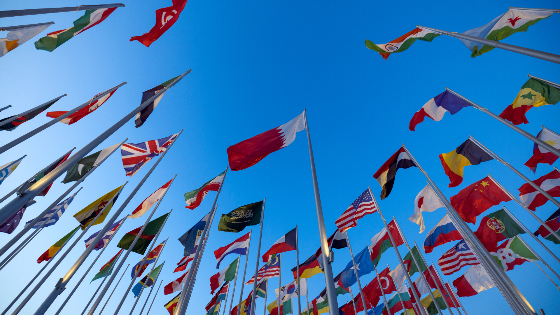 A collection of world flags on poles from an upward angle.