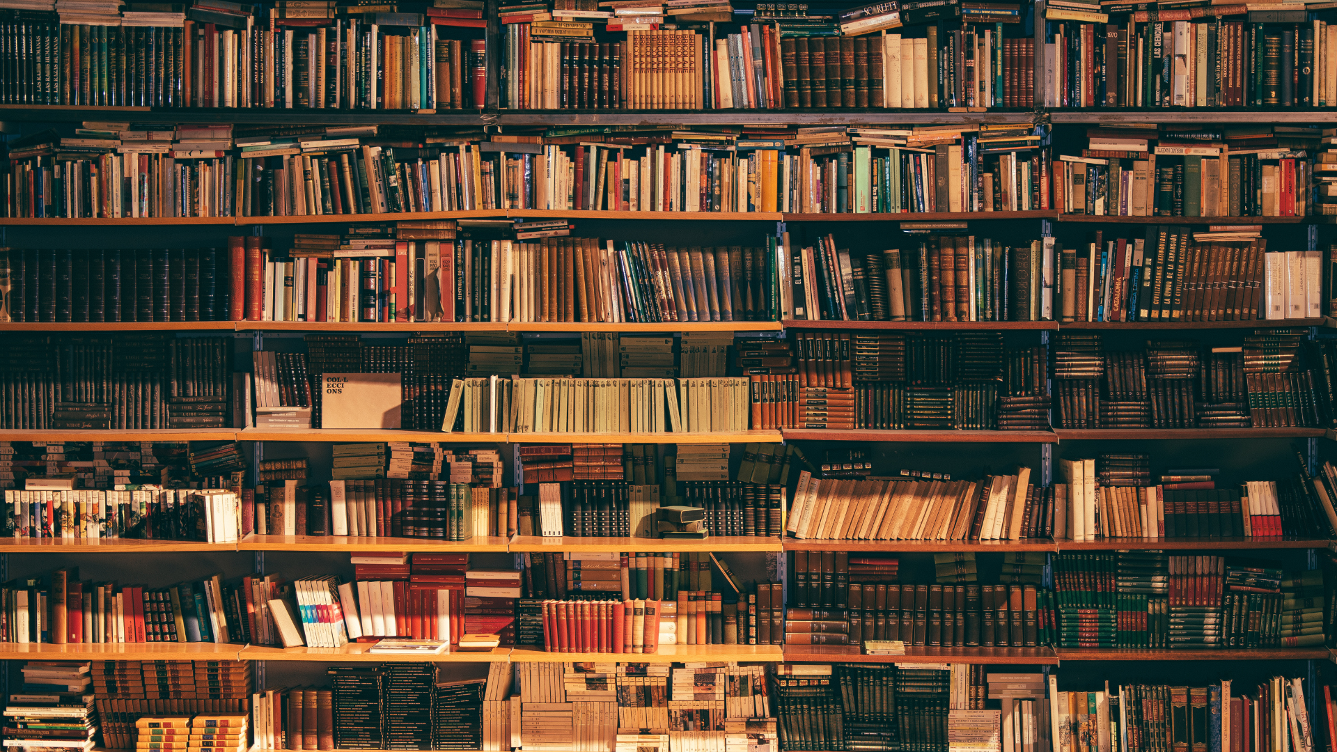 Distant view of numerous books on shelves.