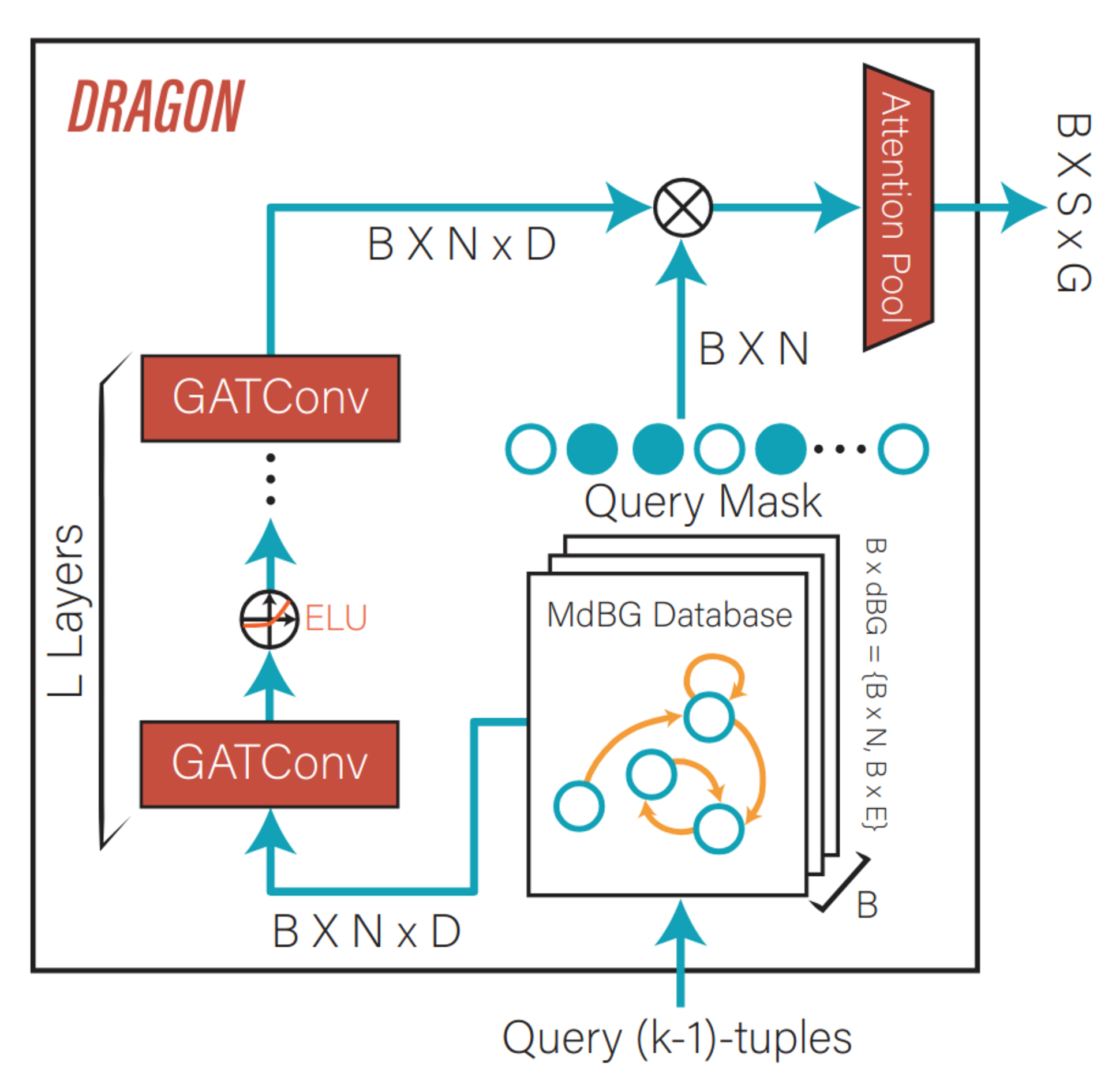 Multivariate de Bruijn Graphs Dragon Module