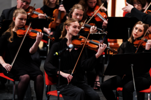 Photo of violin players in an orchestra